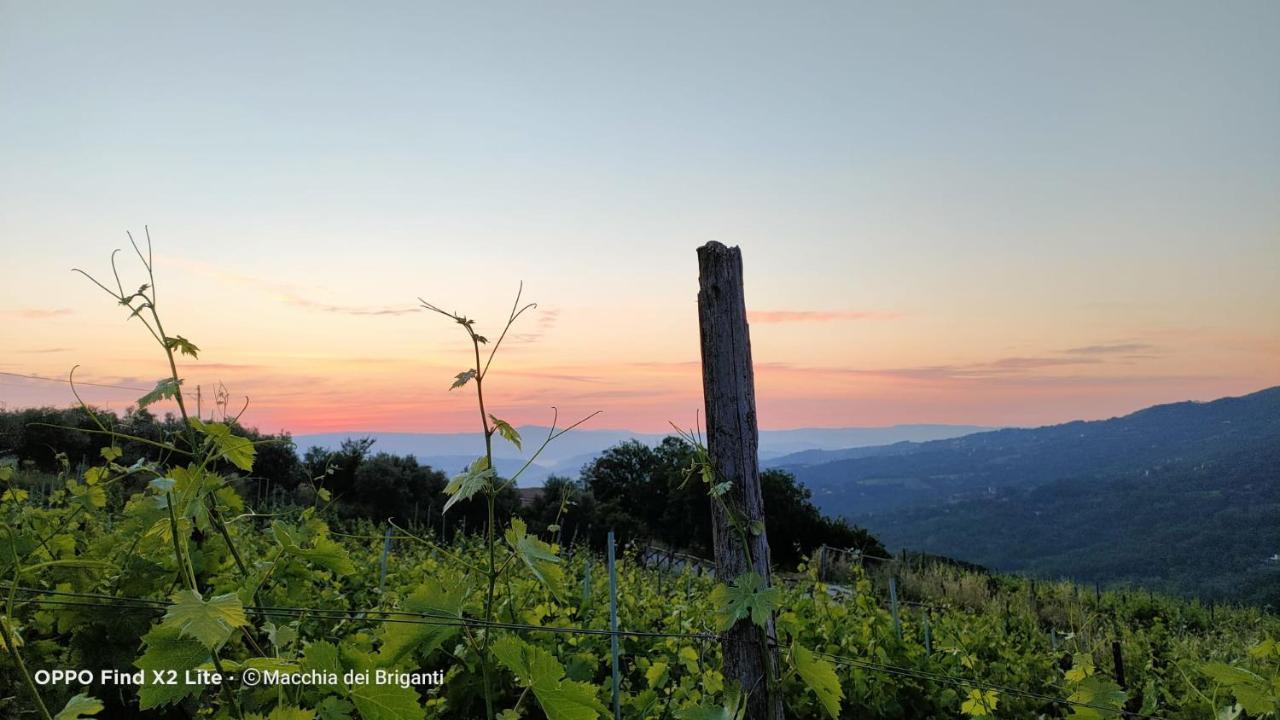 Agriturismo Macchia Dei Briganti - B&B Montefalcione ภายนอก รูปภาพ