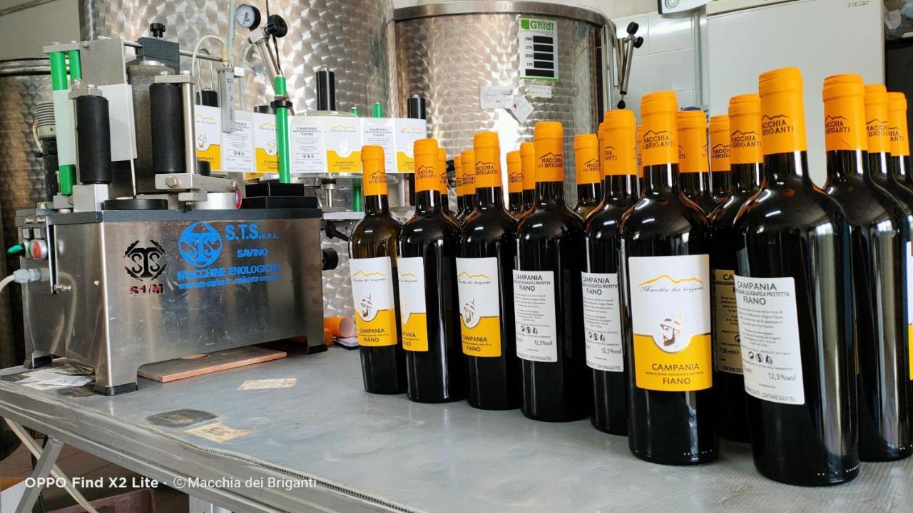 Agriturismo Macchia Dei Briganti - B&B Montefalcione ภายนอก รูปภาพ