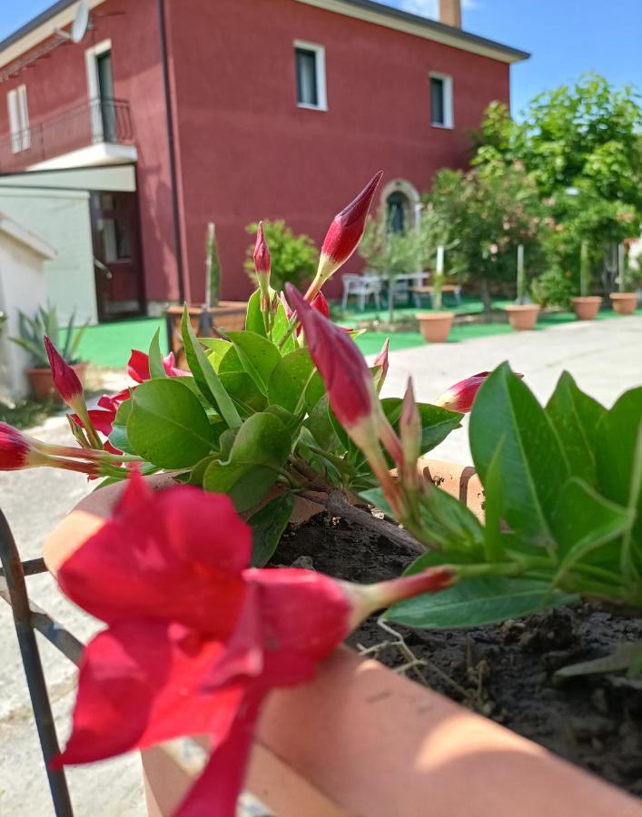 Agriturismo Macchia Dei Briganti - B&B Montefalcione ภายนอก รูปภาพ
