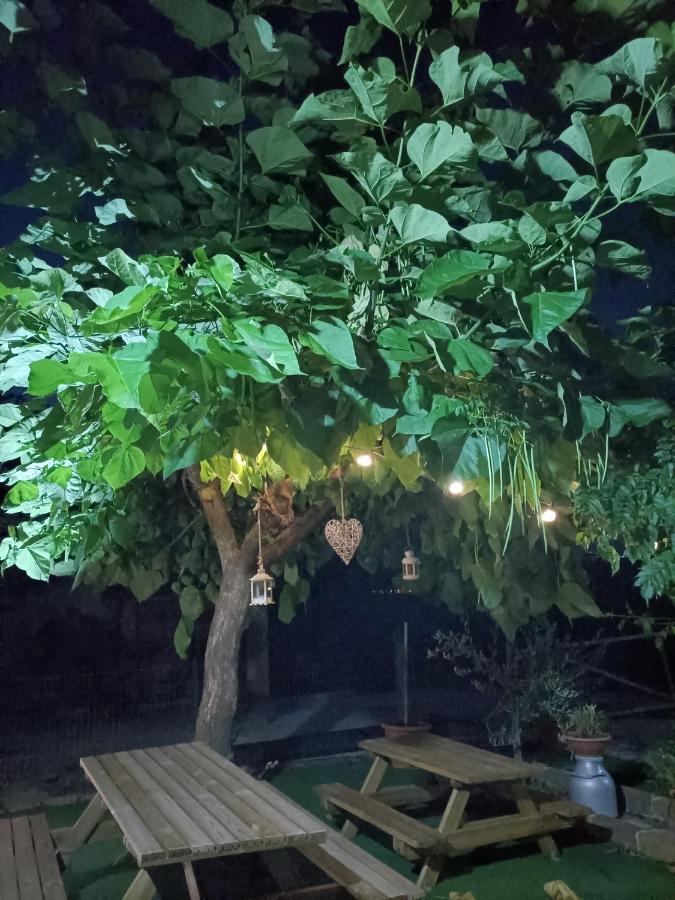 Agriturismo Macchia Dei Briganti - B&B Montefalcione ภายนอก รูปภาพ